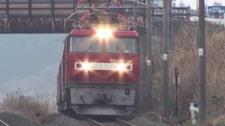 貨物列車（EH500形）　小川原駅通過