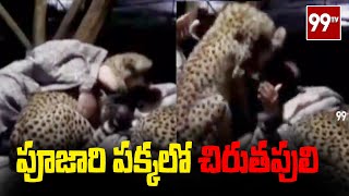 పూజారి పక్కలో చిరుతపులి | Leopard in Rajasthan | 99TV Telugu