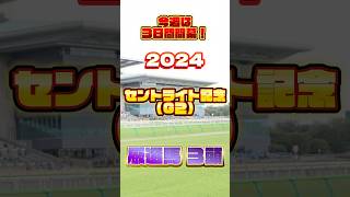 2024 セントライト記念 厳選馬３頭