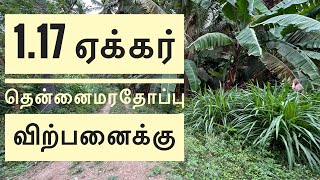 1.17 ஏக்கர் தோப்பு விற்பனைக்கு