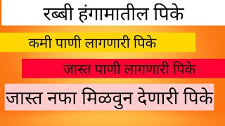 रब्बी हंगामातील पिके||जास्त नफा देणारी पिके||कमी पाण्यावर येणारी पिके