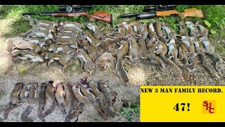 Pest Control with Air Rifles - Squirrel Shooting - Records and Missed Opportunities...