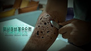 MUSHROOM - Horror Short Film