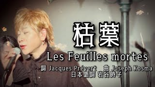 齋藤裕「枯葉（Les Feuilles mortes）」