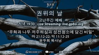 무화과 나무 저주하심과 성전청소에 담긴 비밀 | 마 21:12-22; 막 11:12-25