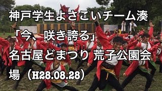 神戸学生よさこいチーム湊 （どまつり 荒子公園 H28.08.28）