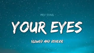 Your Eyes Slowed And Reverb %LoFi% MRx Song | Teri Nazron Ne Dil Ka Kiya Jo Hasar | Reverb music 🎵