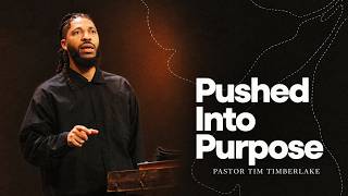 Pushed Into Purpose | Tim Timberlake