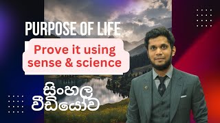 අපගේ ජීවිතයේ අරමුණ තියෙනවද | what is the purpose of life