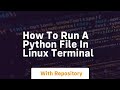 how to run a python file in linux terminal