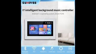 Review Tuya Wall Amplifier WiFi Bluetooth mini Smart 7.1 android 2022