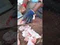 kasimedu sekar uvthadi fish cutting skills video freshfishmarket