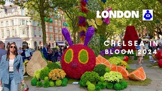 London Walk 🇬🇧 May 2024 | CHELSEA in Bloom “Floral Feasts” | Central London Walking Tour [4K HDR]