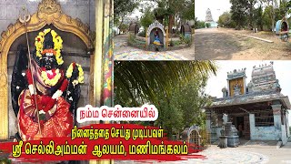 ஒரு முறையாவது பார்க்கவேண்டிய கோவில் | மிகவும் பழமையான யாருக்கும் தெரியாத கோவில் |மணிமங்கலம்