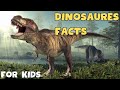 Dino Discovery | Amazing Facts About Dinosaurs | Video for kids