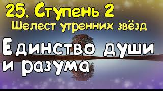 Ступень 2 . № 25 Единство души и разума. Трансерфинг Реальности. Вадим Зеланд.