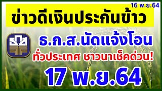 ข่าวดี! เงินประกันรายได้ข้าวปี3 ธ.ก.ส. นัดแจ้งโอน 17 พ.ย. 64 ทั่วประเทศชาวนาเช็คด่วน!