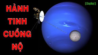 Tưởng Yên Tĩnh, Nhưng Hải Vương Tinh Lại Là Hành Tinh Cuồng Nộ [Replay] | Top thú vị |