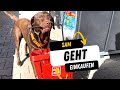 Neuer EINKAUF! Sam (Labrador) 🐶 geht wieder los! 🤣