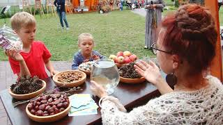 2018 09 11 Dzukijos kulturos ir tradiciju aidai