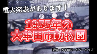 1955年の大牟田市動物園！　Omuta City Zoo in 1955