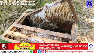 തേനീച്ച വളർത്തലിൽ മൂന്നര പതിറ്റാണ്ട്:വർഷം 3000 കിലോ തേൻ വിൽക്കുന്ന ദമ്പതികൾ