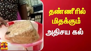 தண்ணீரில் மிதக்கும் அதிசய கல் | chidambaram | floatingstone | thanthitv