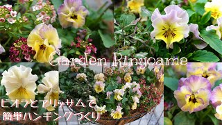 【ガーデニング】簡単！100均のハンギングでビオラとアリッサムの寄せ植えづくり🌼【寄せ植え】