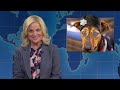 Weekend Update April Ludgate and Leslie Knope on Working for the Government - SNL
