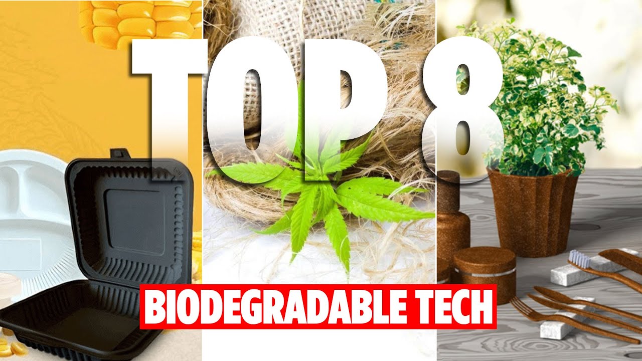 рџџў 8 Emerging Biodegradable Materials рџњ Revolutionizing Modern