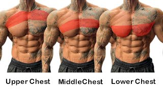 Best 3 Upper Chest Exercises Middle Chest Exercises and Lower Chest