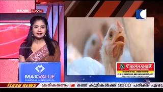 Kerala Bird Flu | കോഴിക്കോട്  വവ്വാലുകള്‍ കൂട്ടത്തോടെ ചത്തൊടുങ്ങി നിലയില്‍