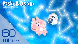 【60分作業用】夏の夜に聞きたい🌟癒しの作業用BGM #カナヘイ #ピスケとうさぎ