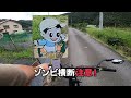 【treadwell3】渓谷を自転車で62㎞走ってきた。