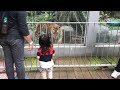 Adam Visits Zoo Negara Malaysia