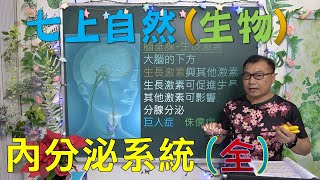 🆕最新課綱~七年級自然 內分泌系統(全)🆕