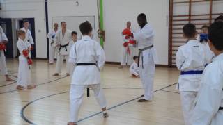 Wayne Otto OBE seminar 2016 - Farnham Karate Academy