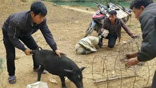 Meeb vaj - tsev neeg muag npua them nyiaj teb hnub13/1/2020