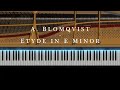 A. Blomqvist - Etyde in E Minor (Official Visualizer)