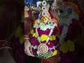 special ammavari bathukamma beautiful and amazing bathukamma in telangana biggest festival