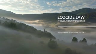 Ecocide Law for Sustainability Professionals: What is it and why should you advocate for it?