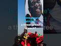 Is Zimbabwe's government seeking to punish its critics?