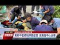 台東紅石林道樹上現黑熊 救援治療中待傷癒野放｜20230824 公視晚間新聞