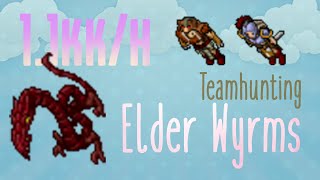 [Tibia] Elder Wyrms: Alternative Teamhunting Spawn for ED and EK (1.1kk/hr @240~)