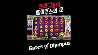 [슬롯 잭팟영상] 프라그마틱 게이트 오브 올림푸스 Gates Of Olympus 리뷰 [슬롯게임][슬롯라이브][강원랜드][slotlive]