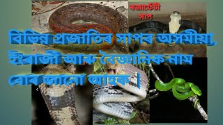 বিভিন্ন প্ৰজাতিৰ সাপৰ অসমীয়া, ইংৰাজী আৰু বৈজ্ঞানিক নাম