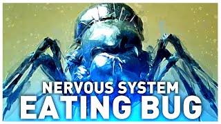 The Brain Control Bug from Starship Troopers 2 Explained | Parasitic Consumption of Neural Tissue