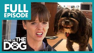 'Shark Dog' Is Ruining Owner's Love Life! | Full Episode USA | It's Me or The Dog