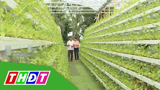 Khởi nghiệp với mô hình trồng rau thủy canh | Khởi nghiệp - 30/4/2021 | THDT