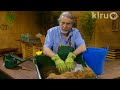 homemade potting soil john dromgoole central texas gardener